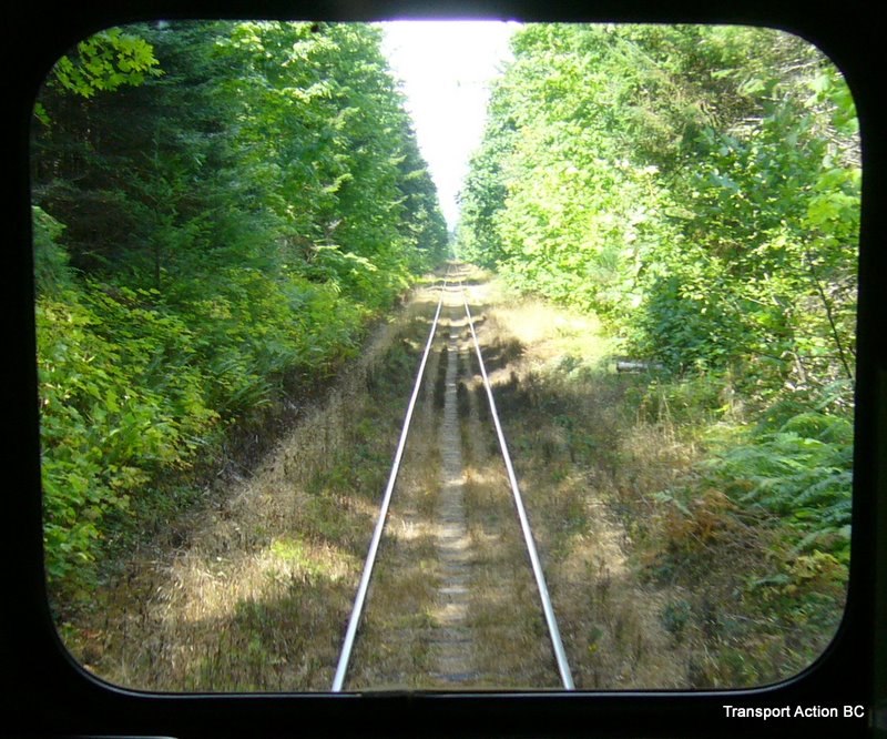 Tunnel of trees Vancouver Island Railway